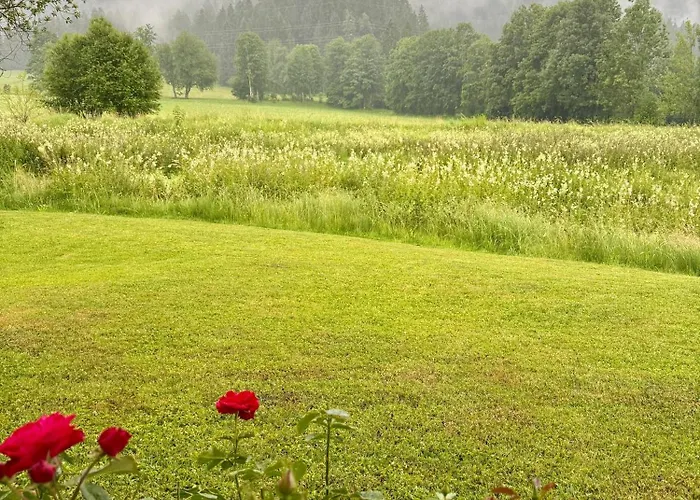 Bergnest Appartement *