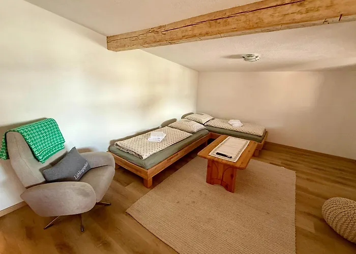 Bergnest Apartament *